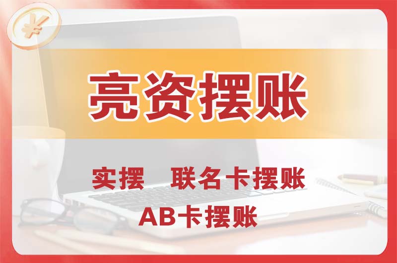 文山个人亮资摆账