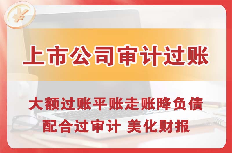 文山上市公司审计过账